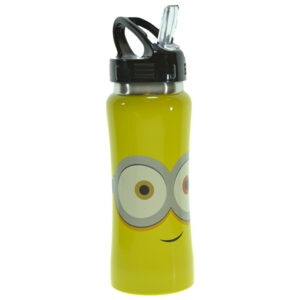 בקבוק נירוסטה 500 מ"ל - מיניונים