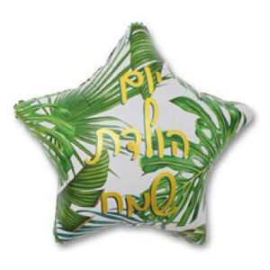 בלון מיילר 26 - יום הולדת שמח