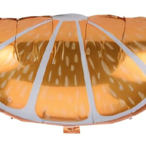 בלון מיילר 26 - תפוז