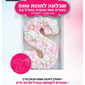 שבלונה פלסטיק האות Z