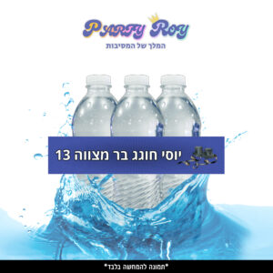 מדבקות לבקבוקים - ‏‏‏‏בר מצווה (6 יח')