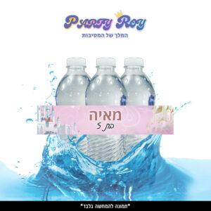 מדבקות לבקבוקים - ‏‏‏‏נסיכות (6 יח')