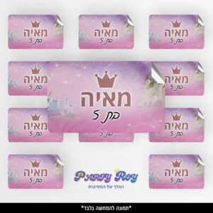 מדבקות מלבניות - נסיכות (8 יח')
