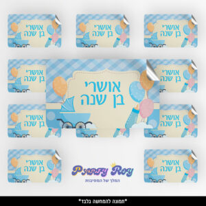 מדבקות מלבניות - תינוק בן שנה (8 יח')