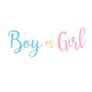 באנר אותיות - גילוי מין העובר (כחול ורוד)
