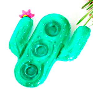 קקטוס מתנפח למשקאות