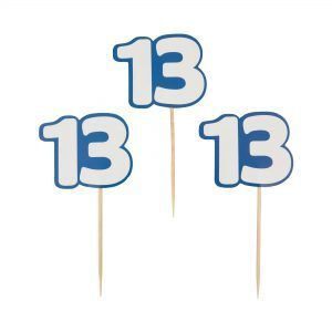 קיסמים גדולים - בר מצווה 13