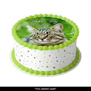 דף סוכר עיגול - חתול