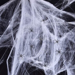 קורי עכביש להלווין