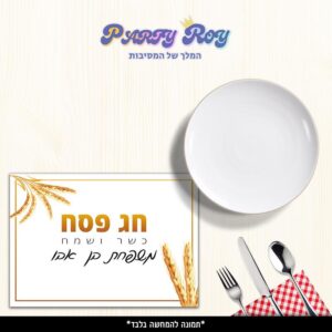 פלייסמנט - חג פסח