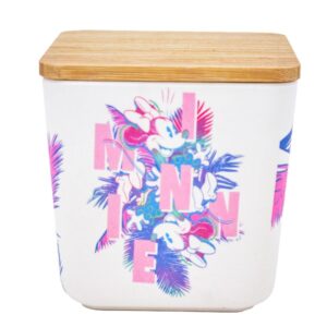 מיכל אחסון במבוק - מיני מאוס