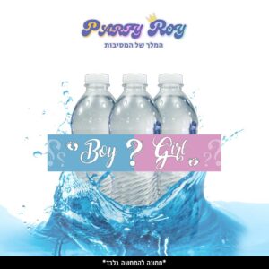 מדבקות לבקבוקים - ‏‏‏‏BOY OR GIRL (6 יח')