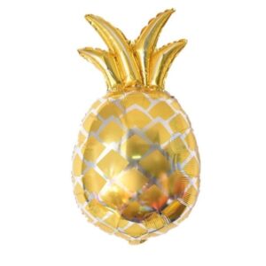 בלון מיילר 31 - אננס