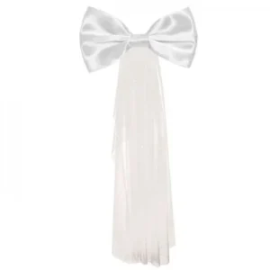 הינומה לישבן