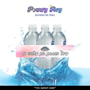 מדבקות לבקבוקים - ‏‏‏‏בת מצווה (6 יח')