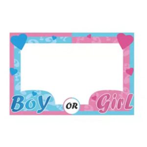 מסגרת צילום - מסיבת מין העובר