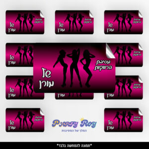 מדבקות מלבניות - מסיבת רווקות (8 יח')