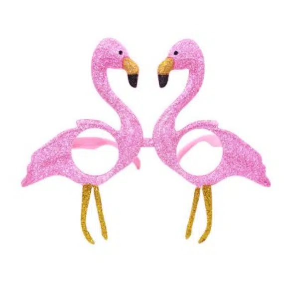משקפי פלמינגו עם נצנצים