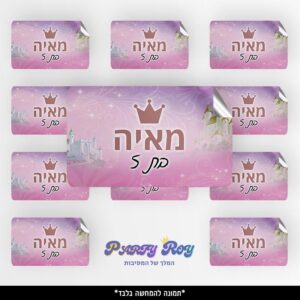 מדבקות מלבניות - נסיכות (8 יח')