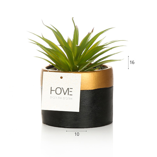 עציץ שחור פס זהב