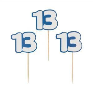 קיסמים גדולים - בר מצווה 13