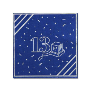 מפיות נייר - בר מצווה 13