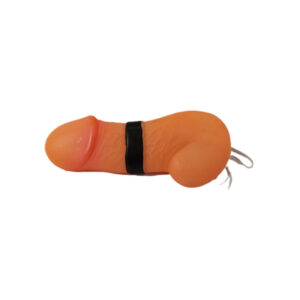 פפיון בצורת בולבול