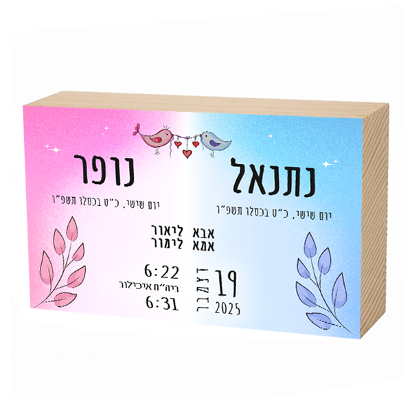 פוטובלוק תעודת לידה - תאומים (בן + בת)
