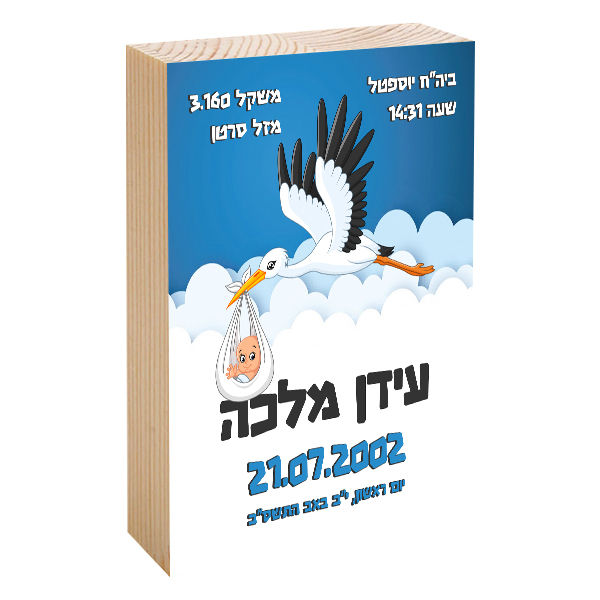 פוטובלוק תעודת לידה - חסידה