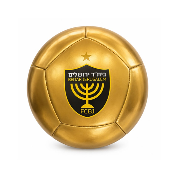 פארטי רוי