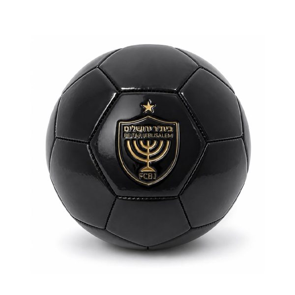 פארטי רוי